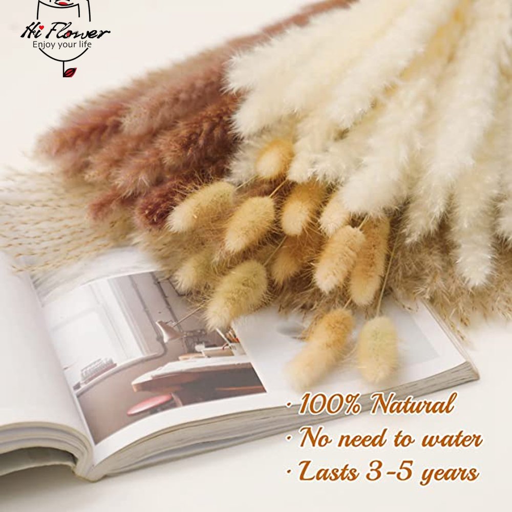 BlackPluss - 100Pcs Fluffy Pampas Dried Flowers Bouquet Home Decor