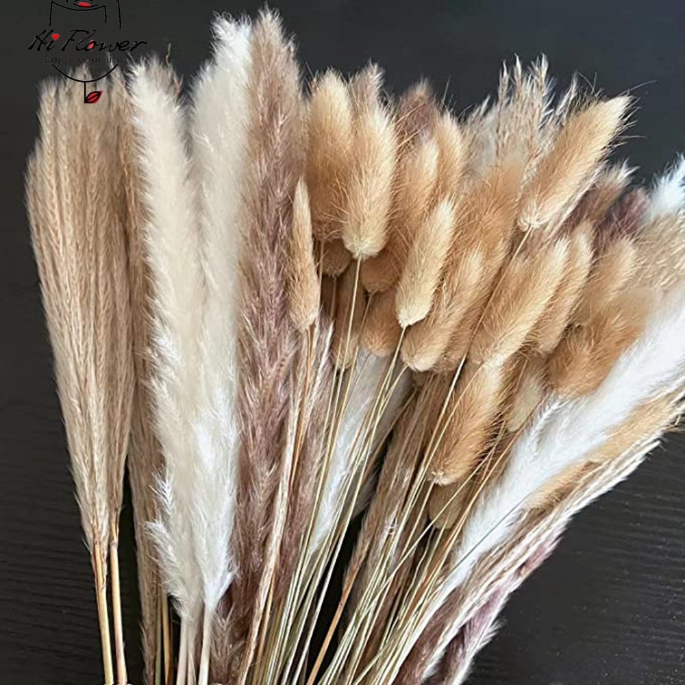 BlackPluss - 100Pcs Fluffy Pampas Dried Flowers Bouquet Home Decor