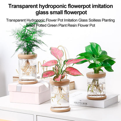 BlackPluss - Mini Hydroponic Flower Pot Home Vase Decor Transparent