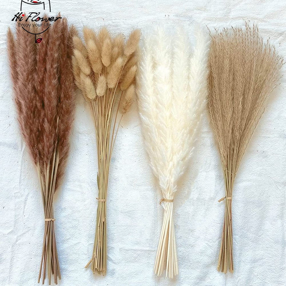 BlackPluss - 100Pcs Fluffy Pampas Dried Flowers Bouquet Home Decor